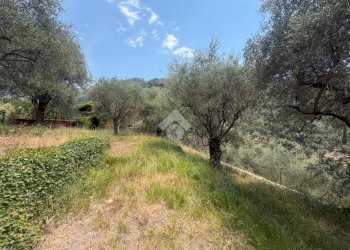 Rustico Strada Madonna del Carmine, Vallebona - foto 11