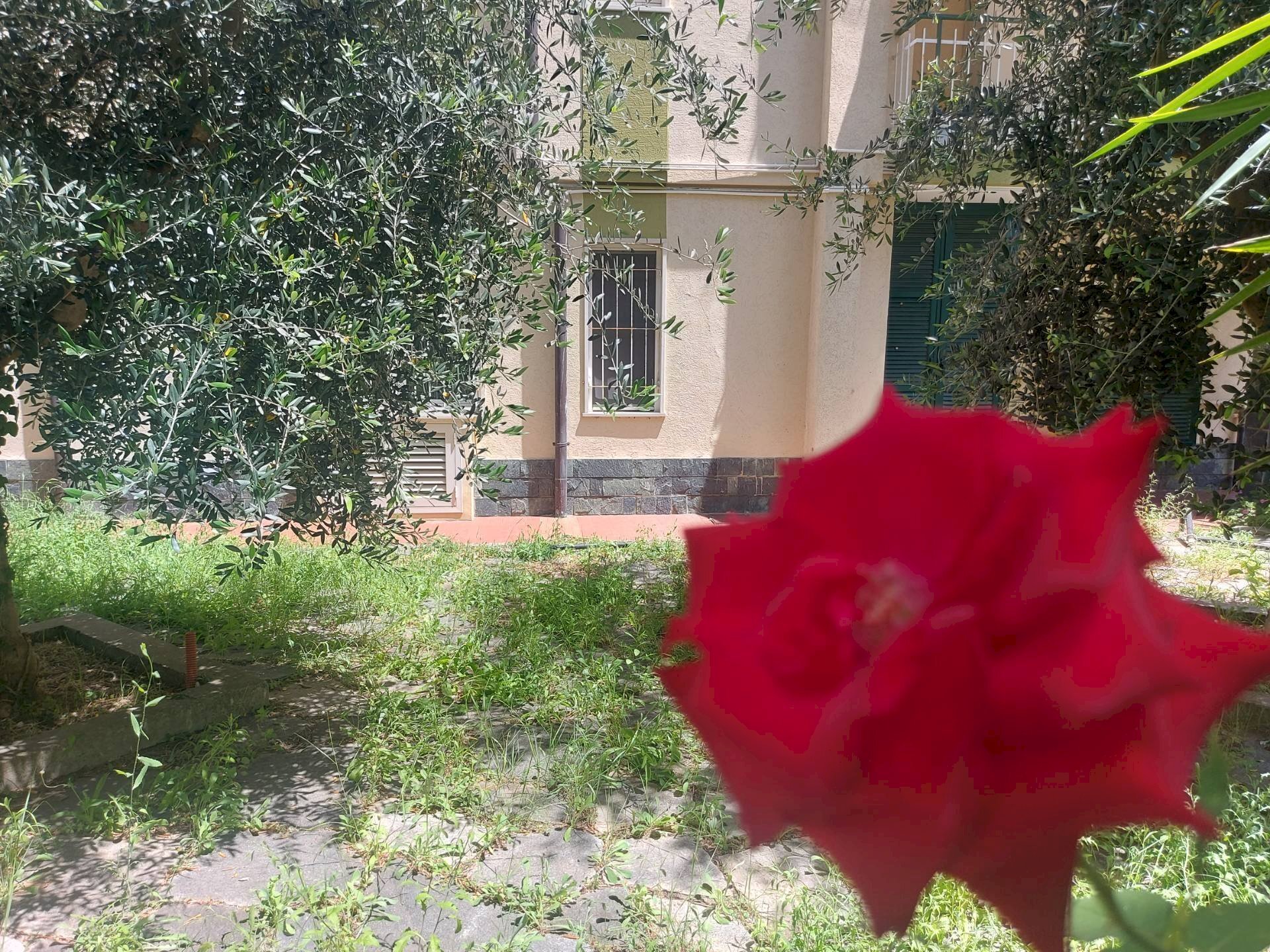Foto 1 - Bilocale Pietra Ligure - foto 1