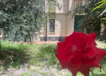 Foto 1 - Bilocale Pietra Ligure - foto 1