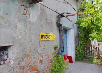 Rustico Via Trieste, Meldola - foto 21