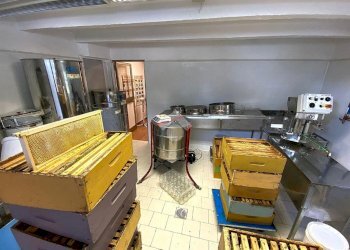 Rustico Via Trieste, Meldola - foto 22