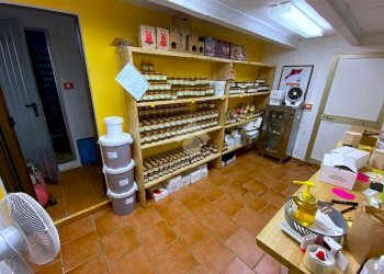 Rustico Via Trieste, Meldola - foto 25