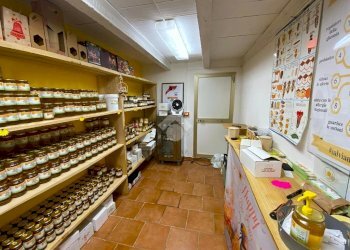 Rustico Via Trieste, Meldola - foto 26