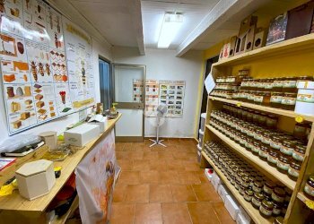 Rustico Via Trieste, Meldola - foto 27