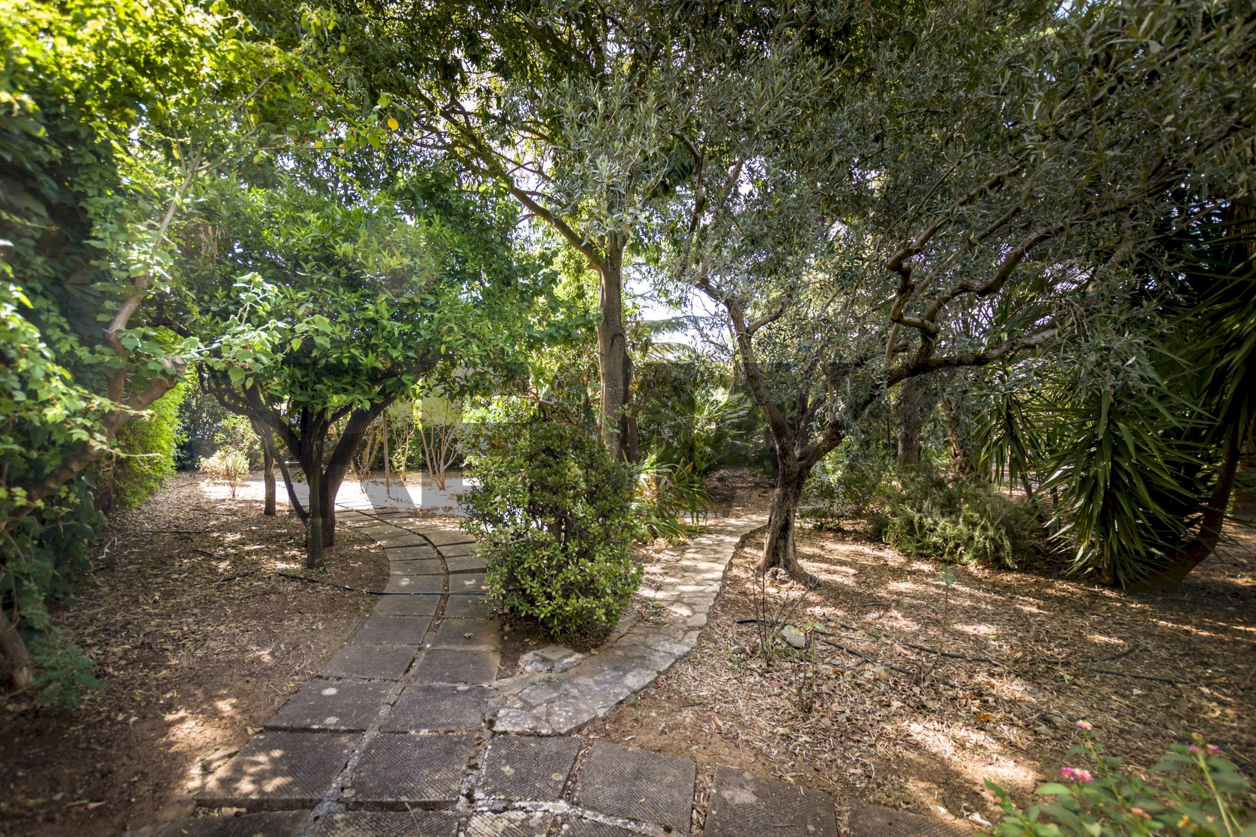 Giardino - Villa Via Giuseppe Perrotta
snc, Palermo - photo 3