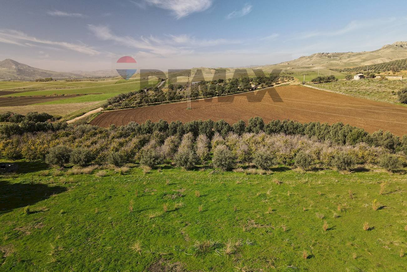 Vista delle montagne - Terreno agricolo cda poggio Monaco
 
snc, Paterno - foto 1