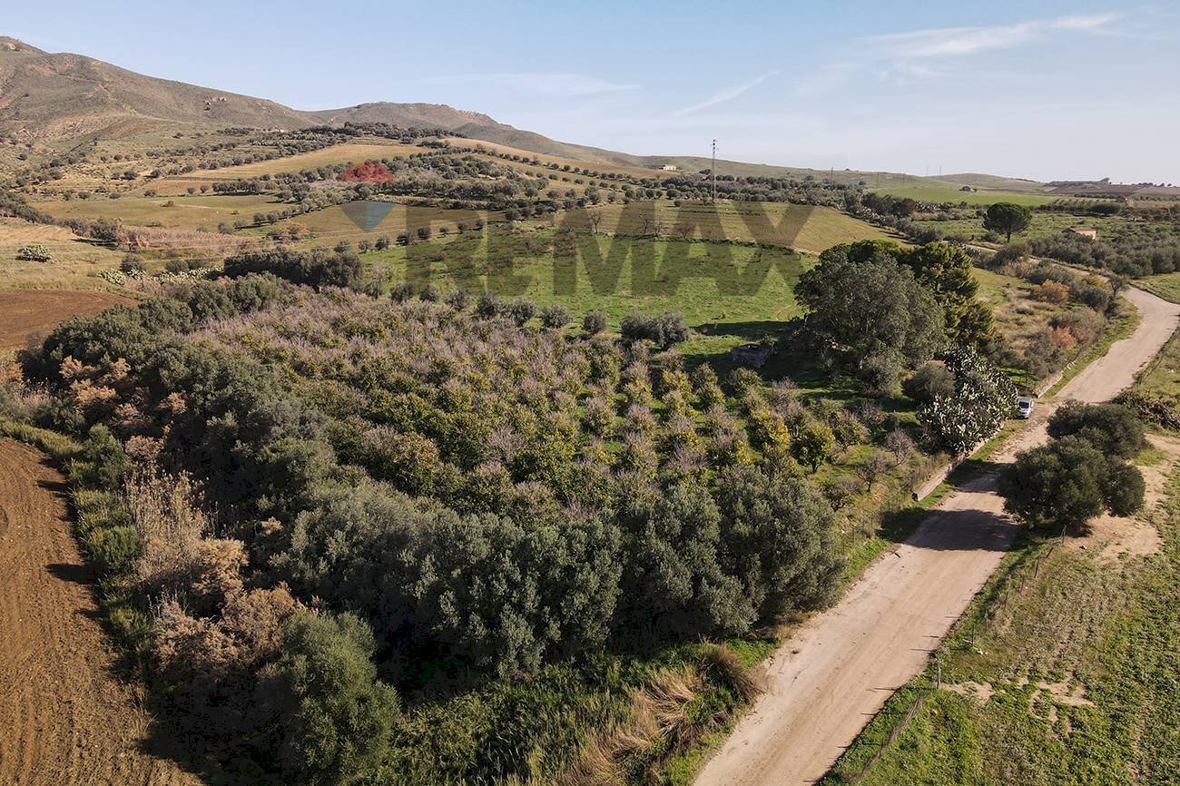 Vista delle montagne - Terreno agricolo cda poggio Monaco
snc, Paterno - foto 3