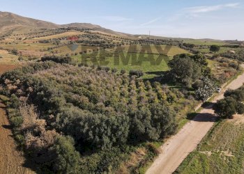 Vista delle montagne - Terreno agricolo cda poggio Monaco
snc, Paterno - foto 3