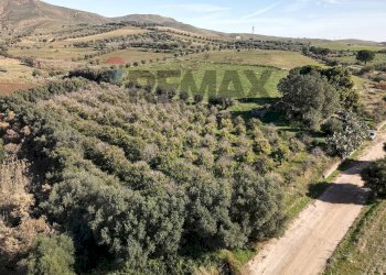 Vista delle montagne - Terreno agricolo cda poggio Monaco
snc, Paterno - foto 4