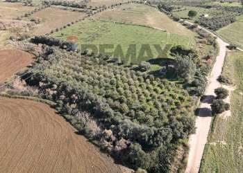 Vista delle montagne - Terreno agricolo cda poggio Monaco
snc, Paterno - foto 5