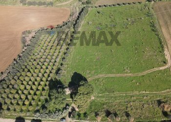 Posizione della mappa - Terreno agricolo cda poggio Monaco
snc, Paterno - foto 6