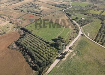 Posizione della mappa - Terreno agricolo cda poggio Monaco
snc, Paterno - foto 7