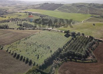 Vista delle montagne - Terreno agricolo cda poggio Monaco
snc, Paterno - foto 9