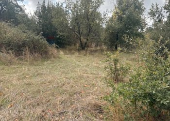 Giardino - Rustic Contrada San Leo
 
snc, Belpasso - photo 5