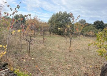 Giardino - Rustic Contrada San Leo
 
snc, Belpasso - photo 7