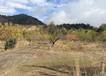 Vista delle montagne - Rustic Contrada San Leo
 
snc, Belpasso - photo 12