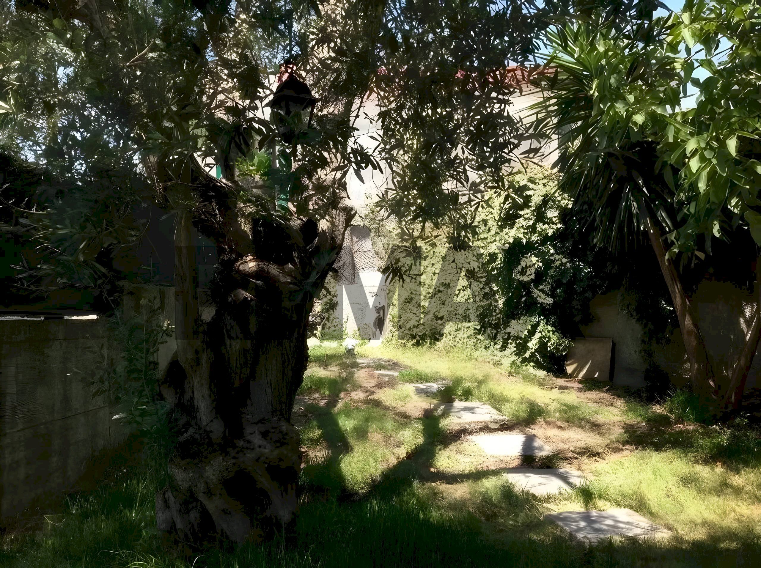 Giardino - Semi-detached house Via Beatrice Di Tenda
 
10, Valverde - photo 1