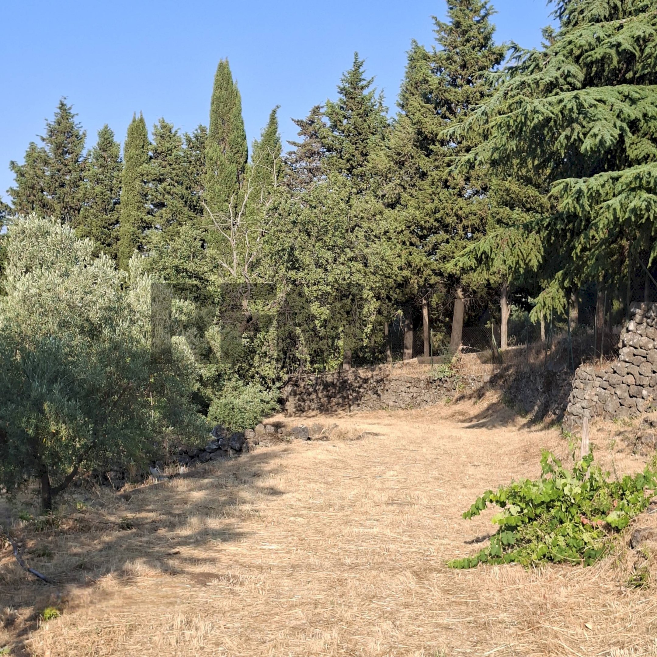Giardino - Agricultural land Via Stradella Privata
 
snc, Castiglione di Sicilia - photo 3
