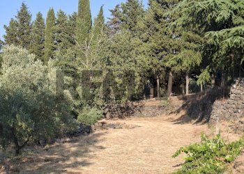 Giardino - Agricultural land Via Stradella Privata
snc, Castiglione di Sicilia - photo 3