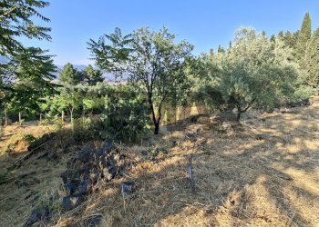 Giardino - Agricultural land Via Stradella Privata
snc, Castiglione di Sicilia - photo 6