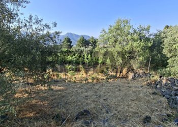 Giardino - Agricultural land Via Stradella Privata
snc, Castiglione di Sicilia - photo 7