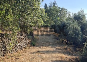 Giardino - Agricultural land Via Stradella Privata
snc, Castiglione di Sicilia - photo 33