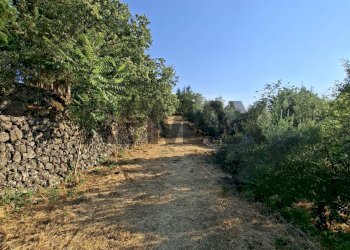 Giardino - Agricultural land Via Stradella Privata
snc, Castiglione di Sicilia - photo 34