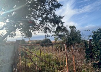 Giardino - Building land via Ticino
sc, Anzio - photo 6