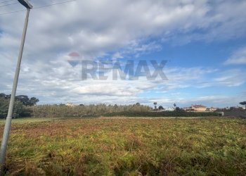 Giardino - Building land via Ticino
sc, Anzio - photo 10