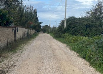 Vista delle montagne - Building land via Ticino
sc, Anzio - photo 11