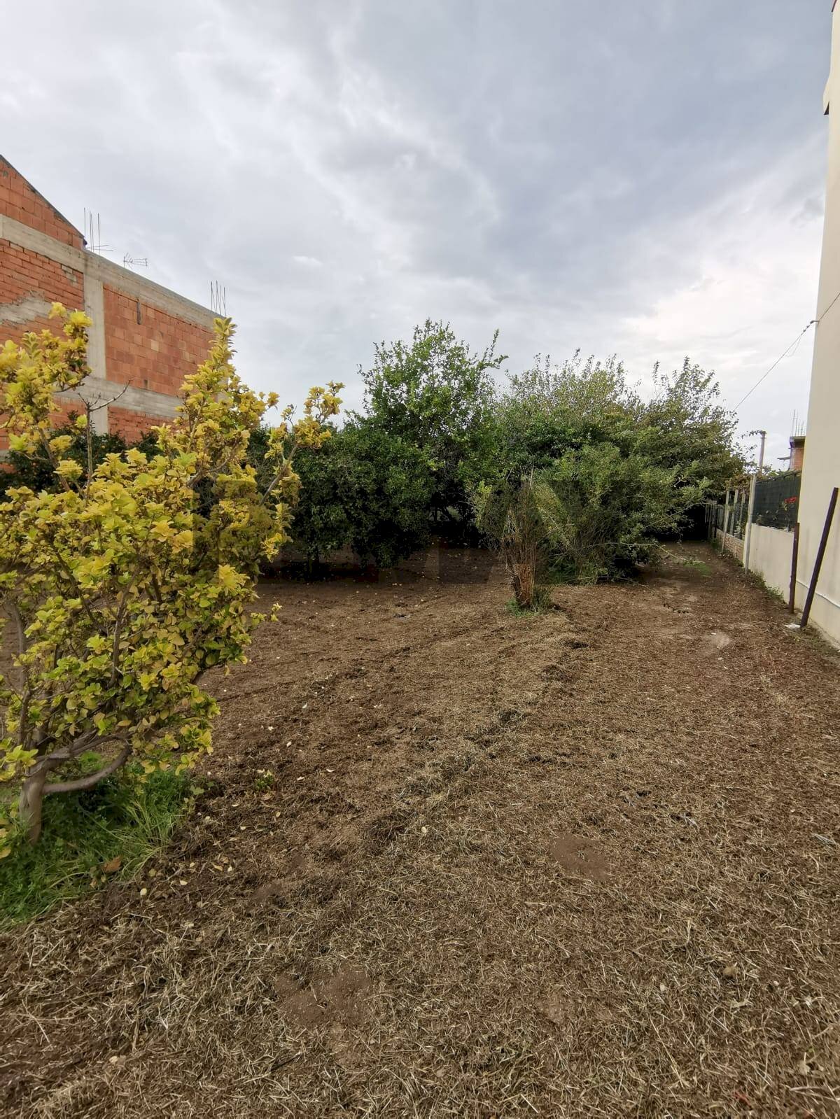 Giardino - Building land Via gramsci
 
106, Milazzo - photo 1