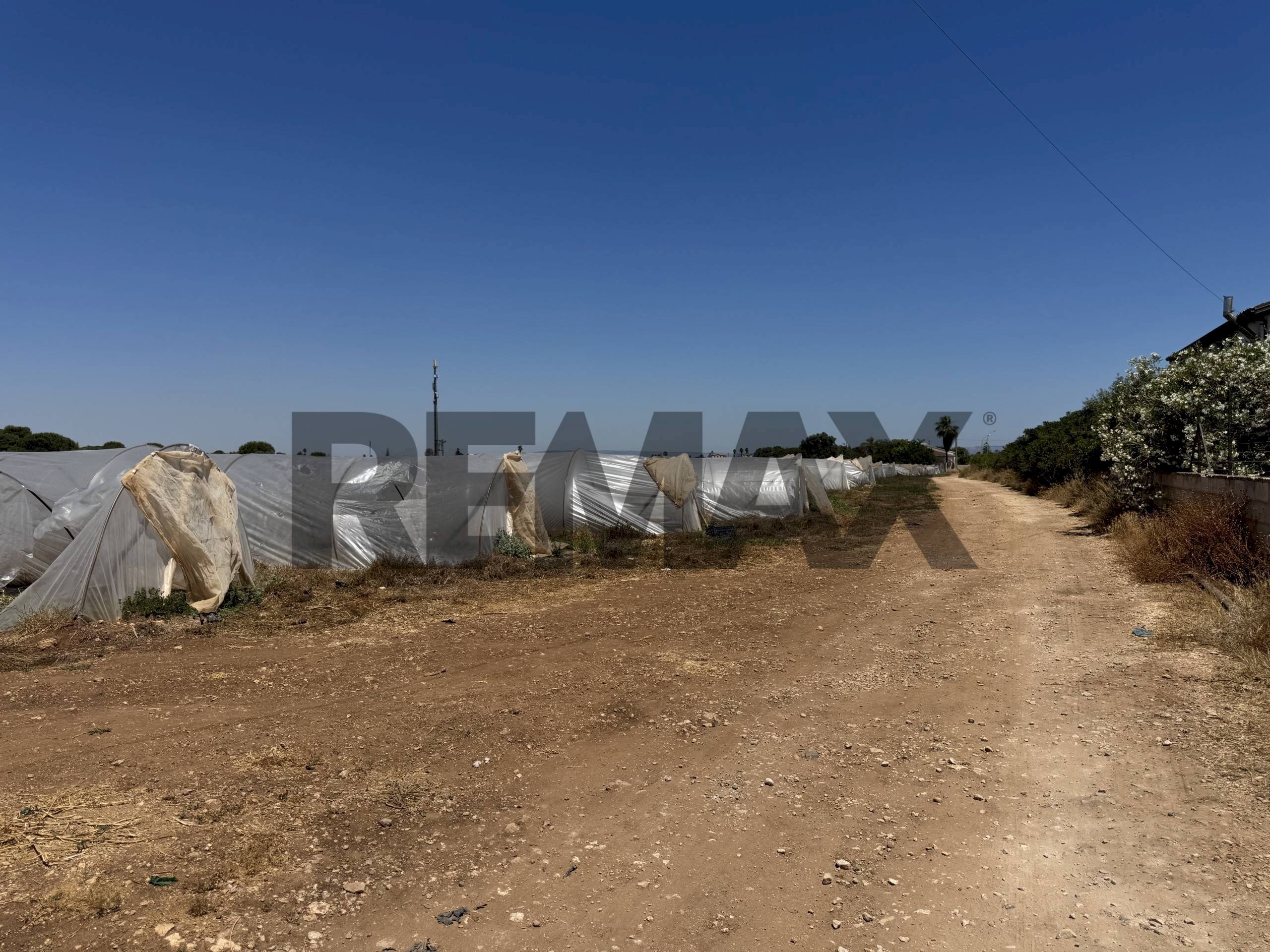 Non correlato - Terreno agricolo C.DA CONCA D'ORO
SNC, Pachino - foto 2