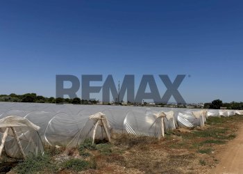 Non correlato - Terreno agricolo C.DA CONCA D'ORO
SNC, Pachino - foto 5