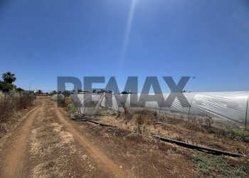 Vista delle montagne - Terreno agricolo C.DA CONCA D'ORO
SNC, Pachino - foto 8