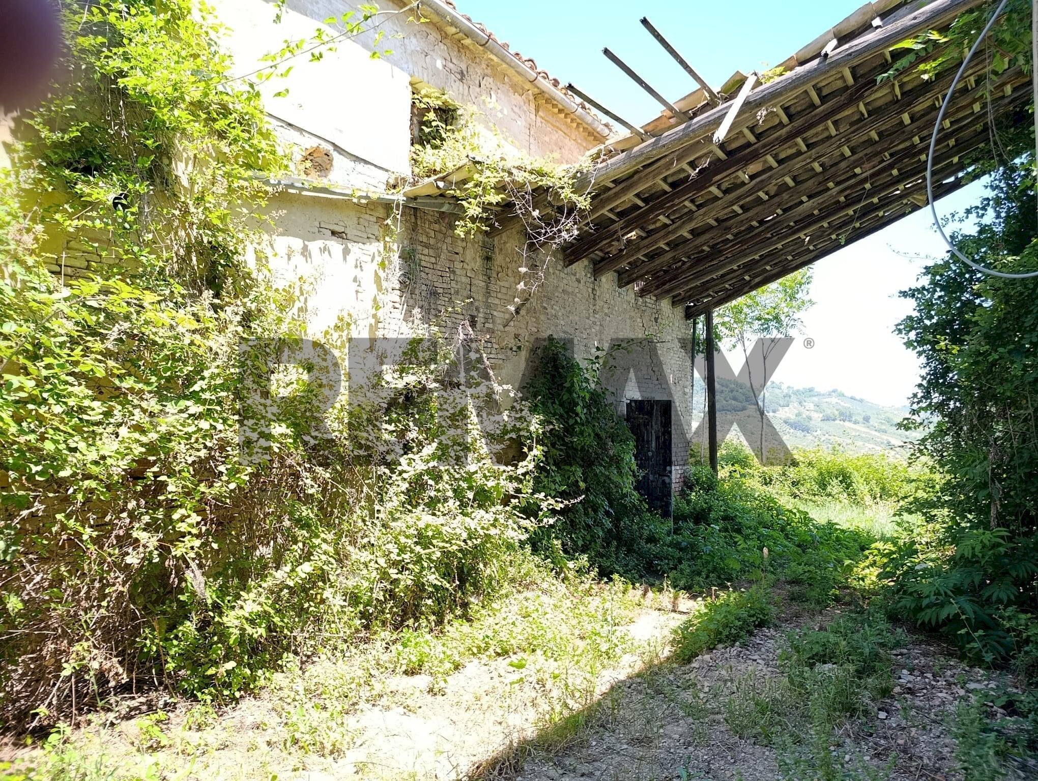 Giardino - Rustic Via Francesco Verlengia
snc, Chieti - photo 3
