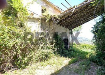 Giardino - Rustic Via Francesco Verlengia
 
snc, Chieti - photo 3