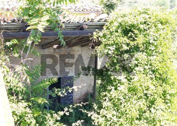 Giardino - Rustic Via Francesco Verlengia
 
snc, Chieti - photo 7