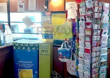 Cucina - Attività Commerciale Viale Buonarroti
8/B, Novara - foto 4
