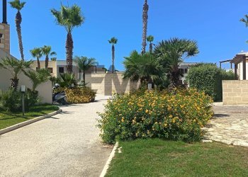 Giardino - Bilocale lido burrone
 
snc, Favignana - foto 68