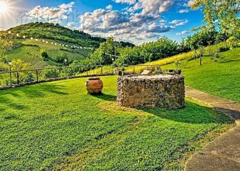 Foto 15 - Villa Bertinoro - photo 15