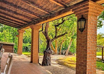 Foto 19 - Villa Bertinoro - photo 19