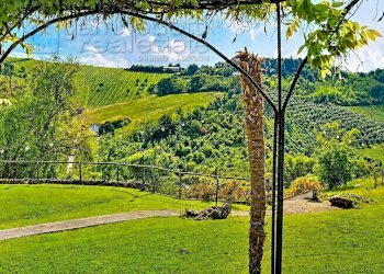 Foto 21 - Villa Bertinoro - photo 21