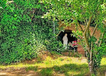 Foto 23 - Villa Bertinoro - photo 23