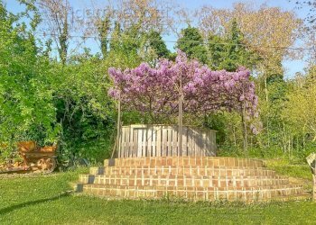 Foto 25 - Villa Bertinoro - photo 25