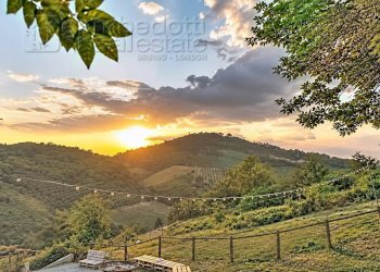 Foto 30 - Villa Bertinoro - photo 30