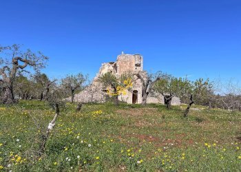 Foto 18 - Rustic Contrada Balice, Monopoli - photo 18
