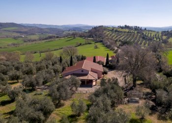 Foto 22 - Rustico Colle di Lupo, Magliano in Toscana - foto 22