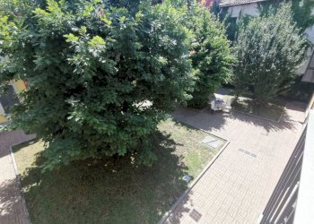 Giardino - Three-room apartment vicolo Baretti, 10, Valenza - photo 14