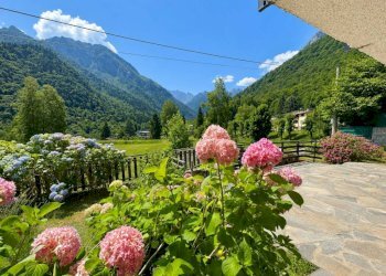 Giardino - Appartamento Borgata Madonna d'Ardua, Chiusa di Pesio - foto 10