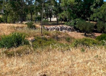 Foto 4 - Building land STRADA MADONNA DEL ROSARIO ZONA I
SNC, Martina Franca - photo 4